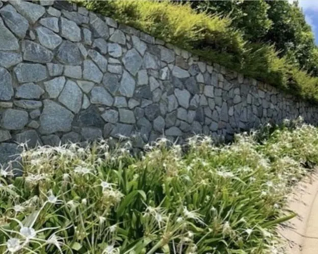 Natural stone retaining wall by All Stone & Pave